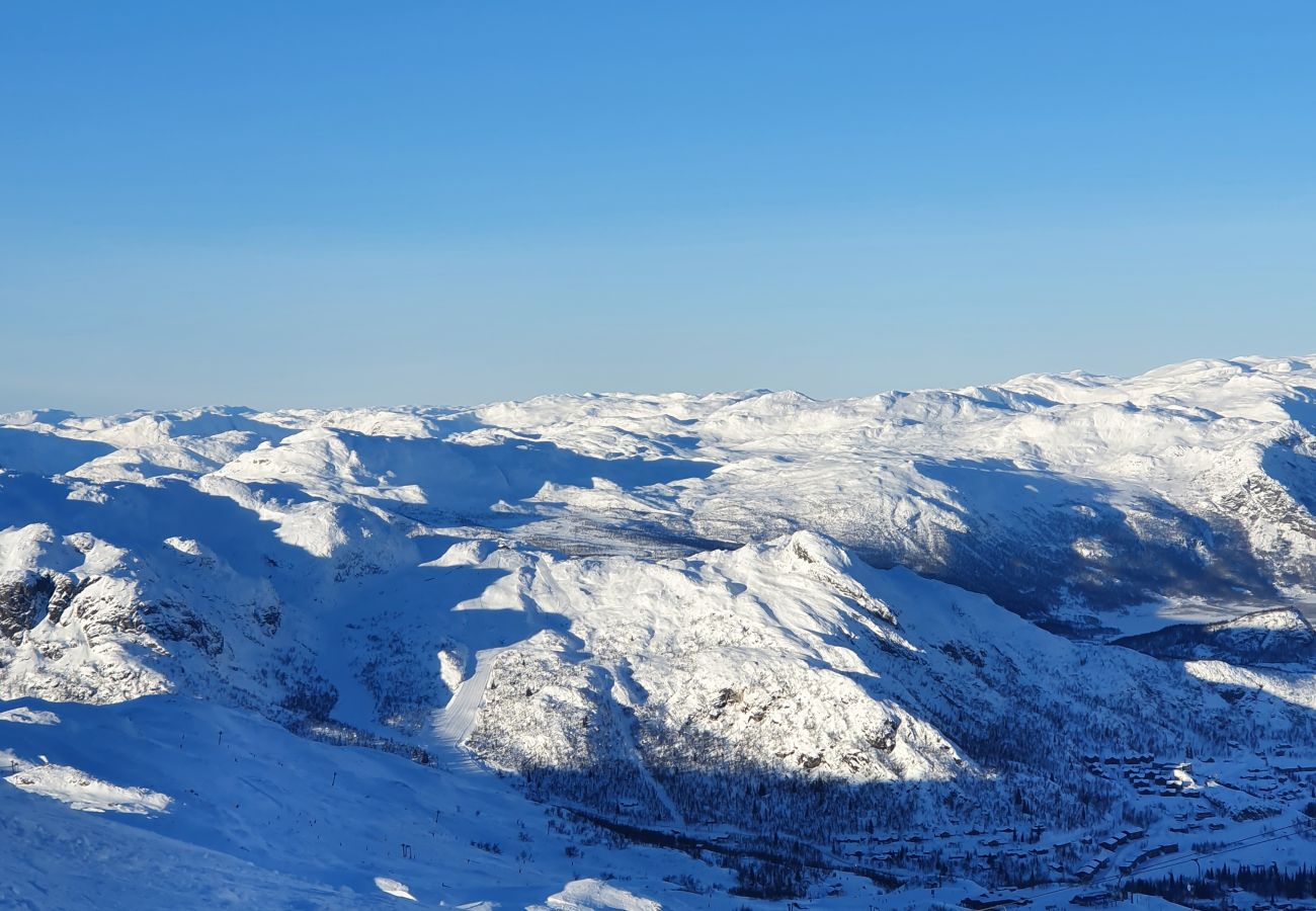 Leilighet i Hemsedal - Romslig leilighet nær Hemsedal skisenter