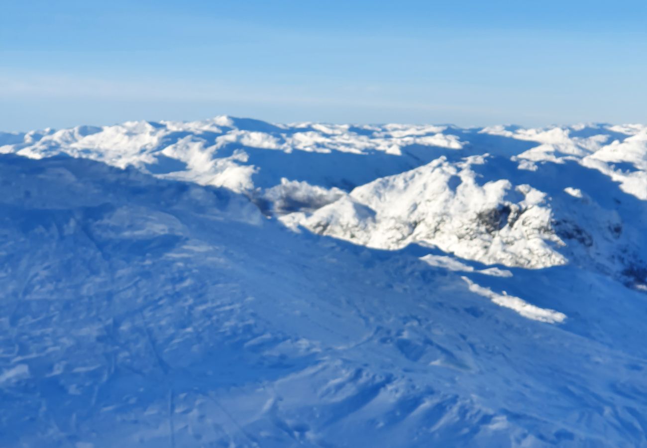 Leilighet i Hemsedal - Romslig leilighet nær Hemsedal skisenter