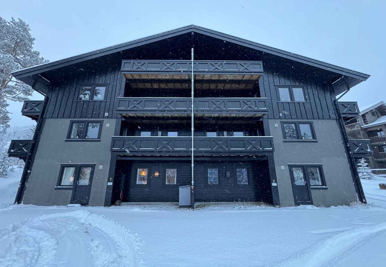 Leilighet i Hemsedal - Romslig leilighet nær Hemsedal skisenter