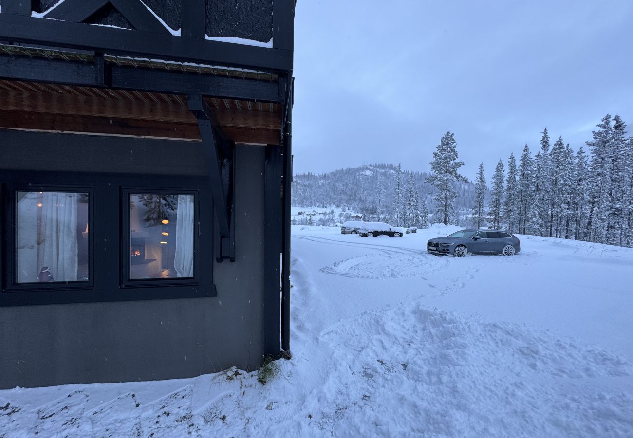 Leilighet i Hemsedal - Romslig leilighet nær Hemsedal skisenter