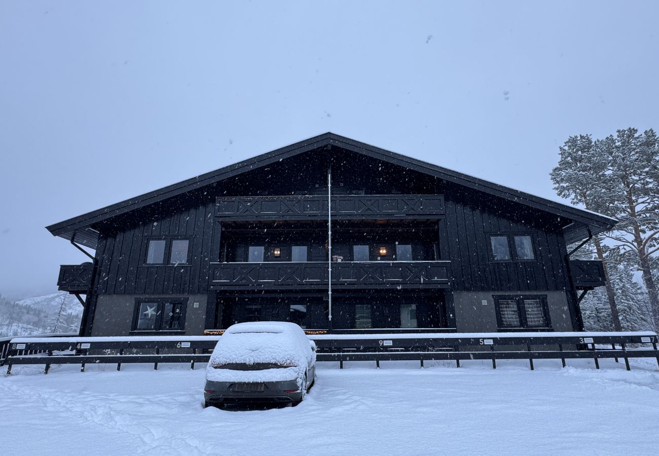 Leilighet i Hemsedal - Romslig leilighet nær Hemsedal skisenter