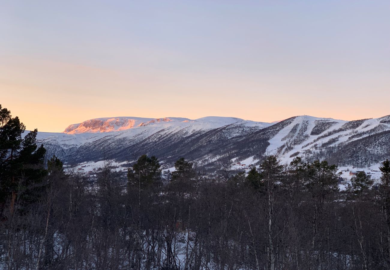 Hytte i Hol - Fjellro