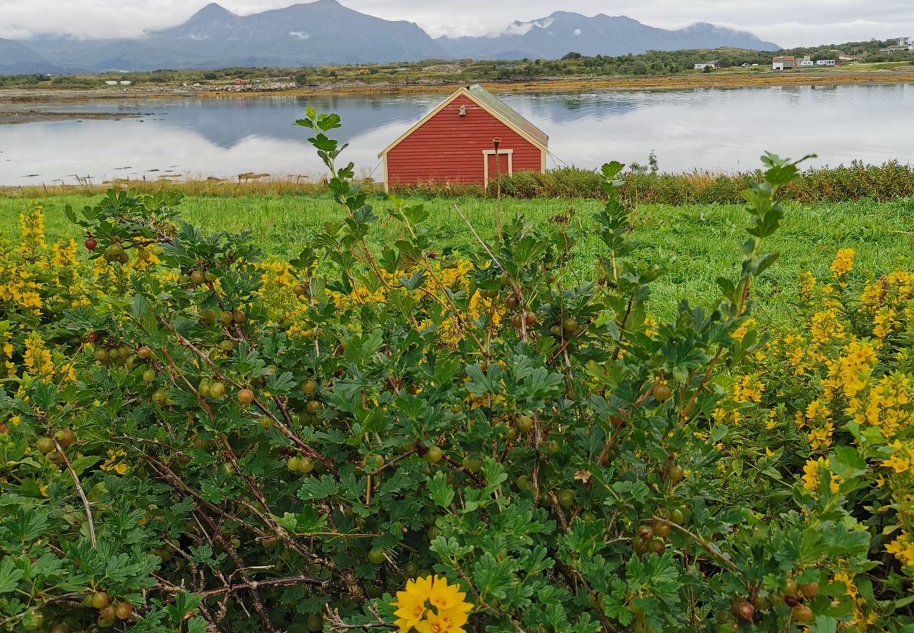 Hytte i Vestvågøy - Feriehus ved sjøen, Lofoten