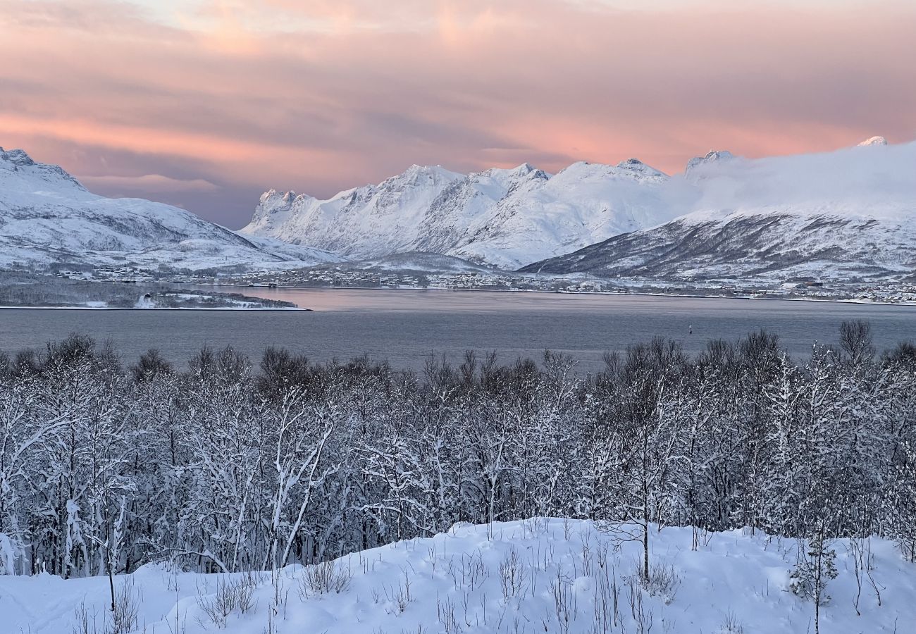 Leilighet i Tromsø - Villa Stalheim