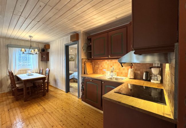  i Hol - Cozy family cabin in Geilo