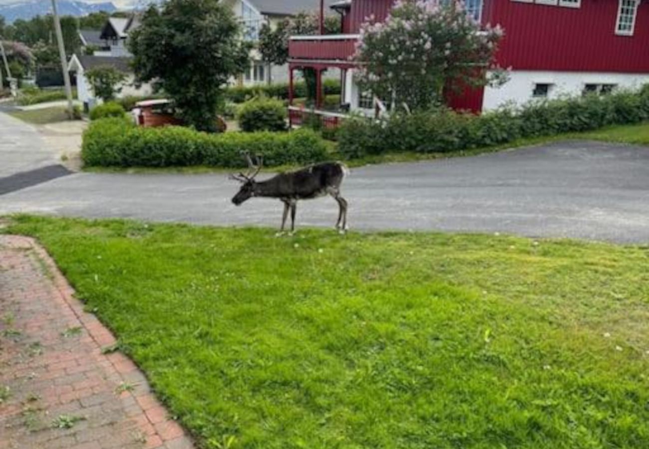 Leilighet i Tromsø - Lys og fin leilighet sentralt i Tromsø