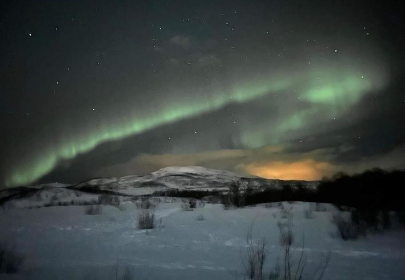 Leilighet i Tromsø - Lys og fin leilighet sentralt i Tromsø