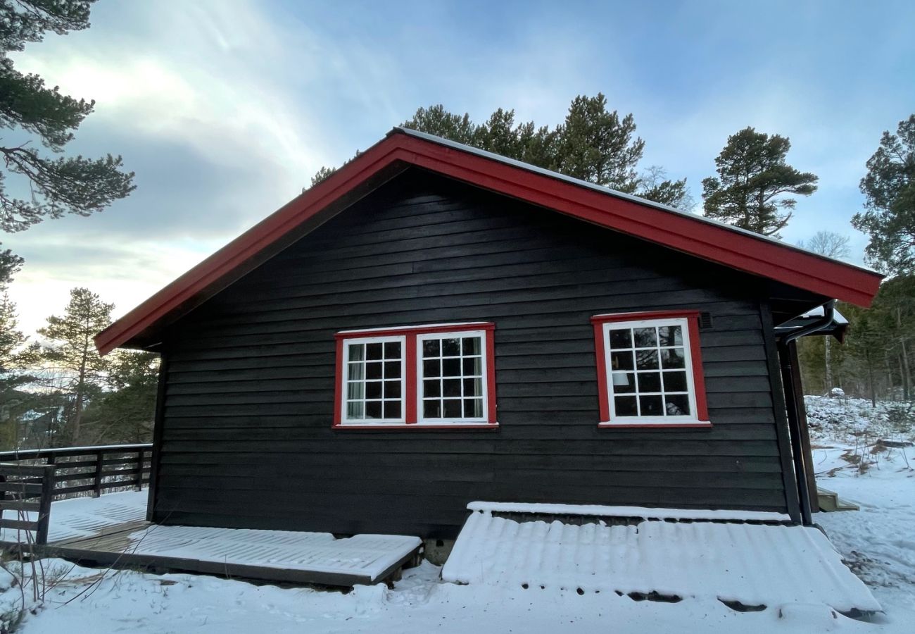 Hytte i Hol - Cozy cabin in Geilo