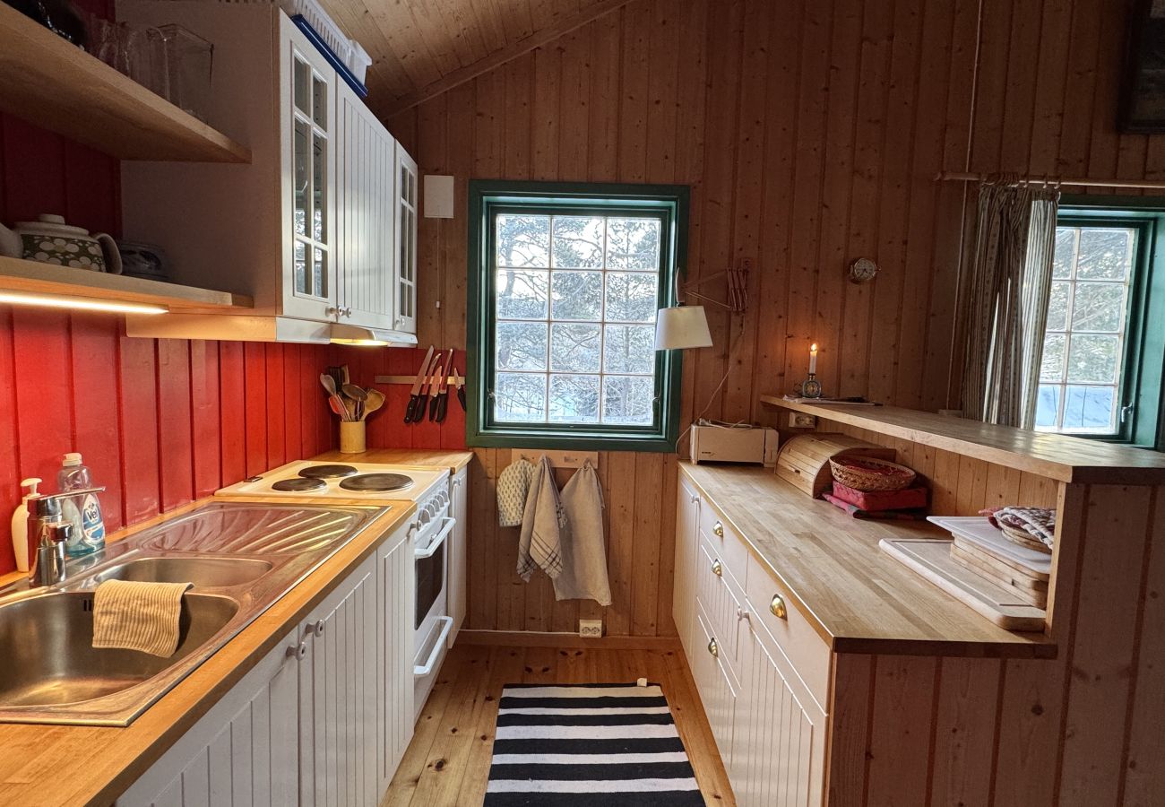 Hytte i Hol - Cozy cabin in Geilo