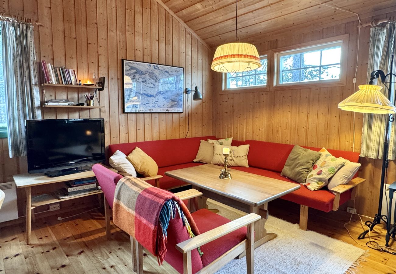 Hytte i Hol - Cozy cabin in Geilo