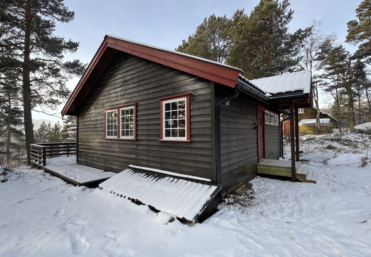 Hytte i Hol - Cozy cabin in Geilo