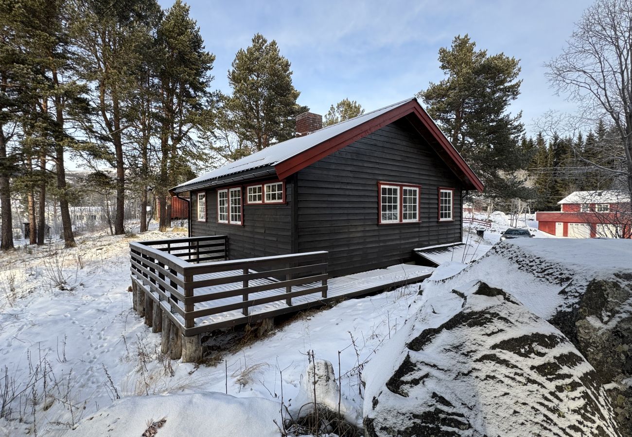 Hytte i Hol - Cozy cabin in Geilo