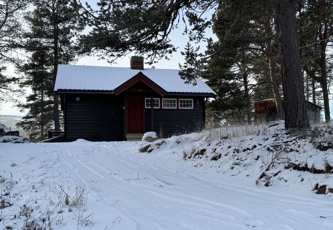 Hytte i Hol - Cozy cabin in Geilo