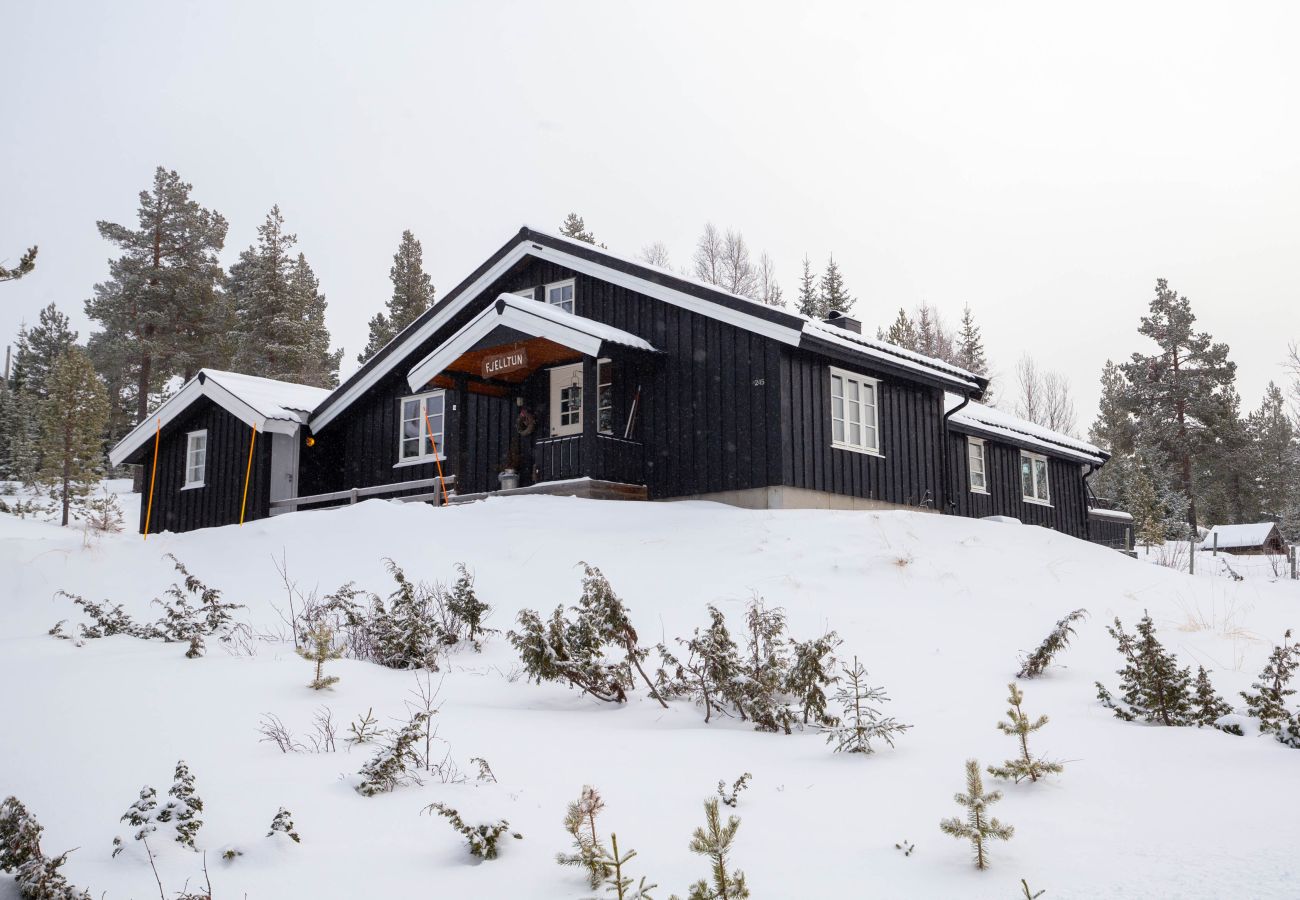 Hytte i Nesbyen - Newly renovated cabin in stunning natural surroundings in beautiful Nesbyen