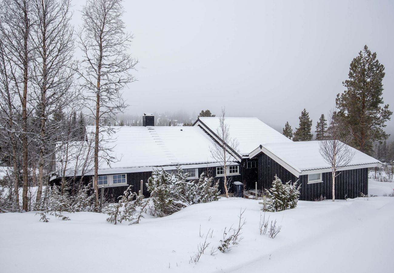 Hytte i Nesbyen - Newly renovated cabin in stunning natural surroundings in beautiful Nesbyen