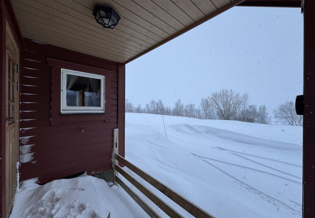 Hytte i Hol - Koselig hytte på Ustaoset