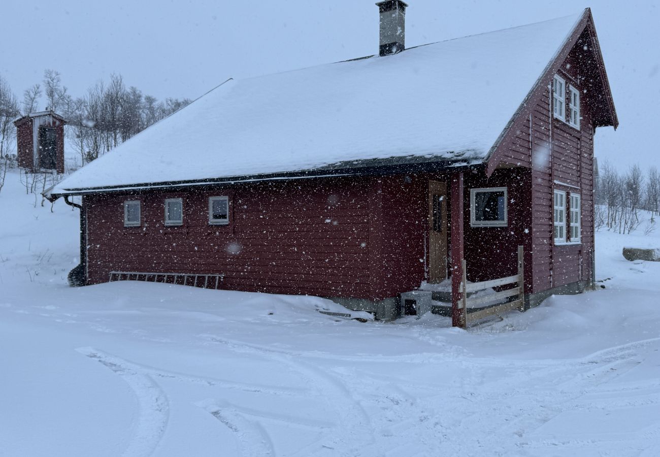 Hytte i Hol - Koselig hytte på Ustaoset